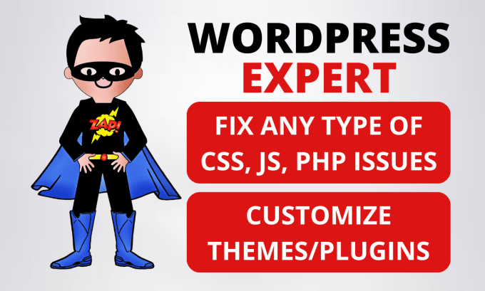 Gig Preview - Fix wordpress PHP CSS js issues or develop wordpress plugin