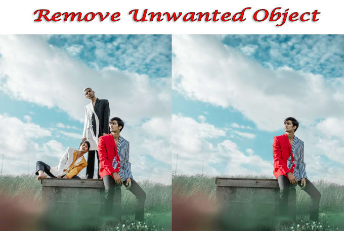 Gig Preview - Add or remove objects, person images cropped and image retouching