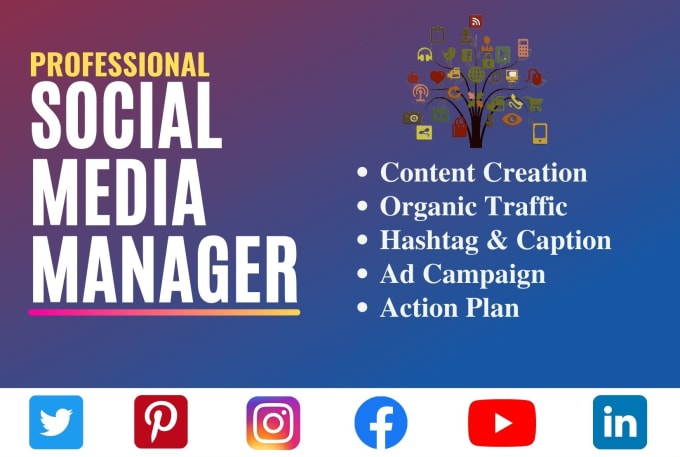 Gig Preview - Be your social media marketing manager