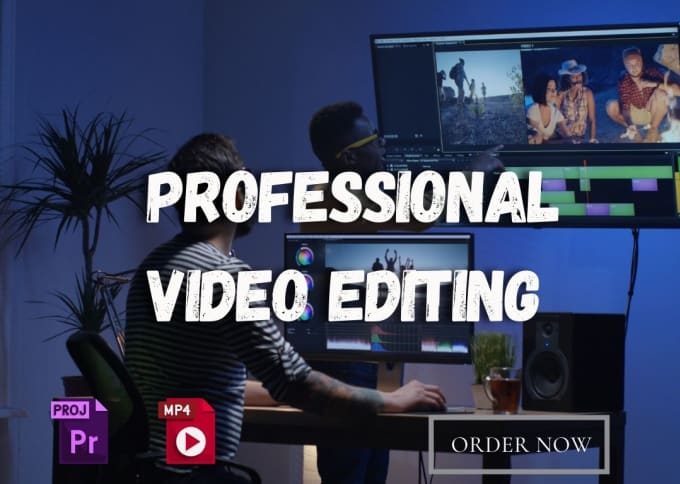 Gig Preview - Create a promotional videos for you