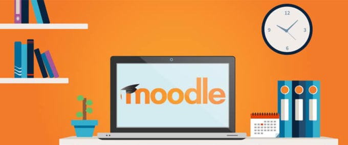 Gig Preview - Give consultancy and technically support lms moodle