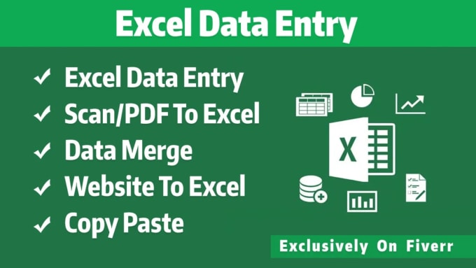 Gig Preview - Do any data entry, excel, word, google docs and much more