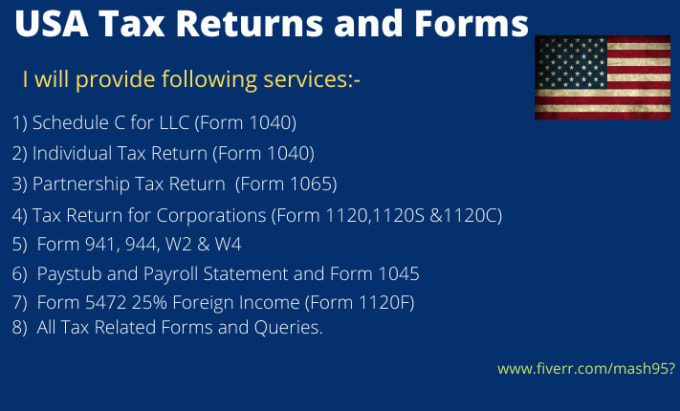 Gig Preview - Prepare and efile USA tax returns for you