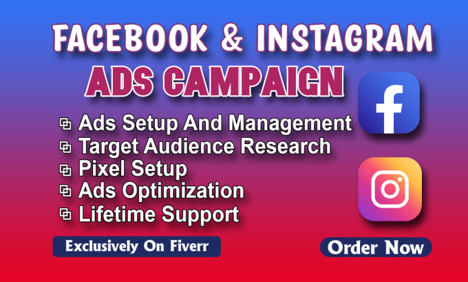 Gig Preview - Setup and manage facebook and instagram ads campaign