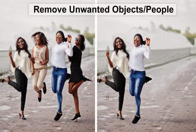 Gig Preview - Add or remove unwanted objects, people from your images