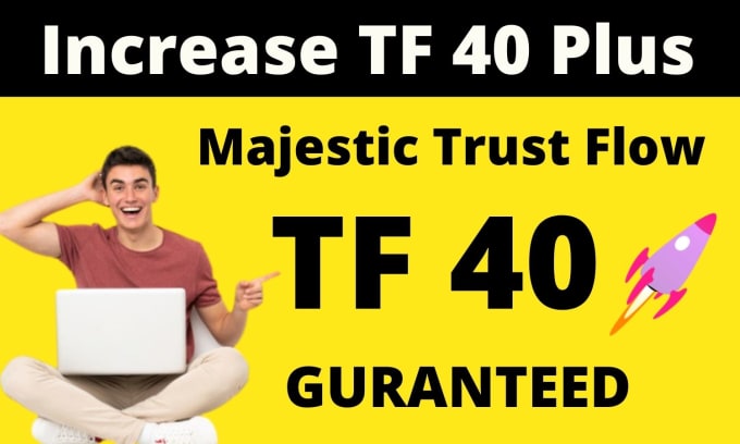 Gig Preview - Increase your website trust flow tf to 40 plus