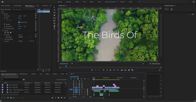 Gig Preview - Professionally edit your nature or animal videos