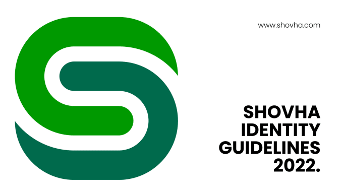 Gig Preview - Design your complete custom brand identity style guide