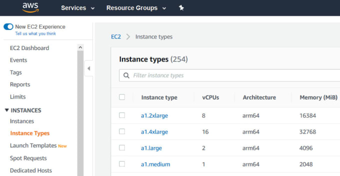 Gig Preview - Build and maintain custom ec2 instances