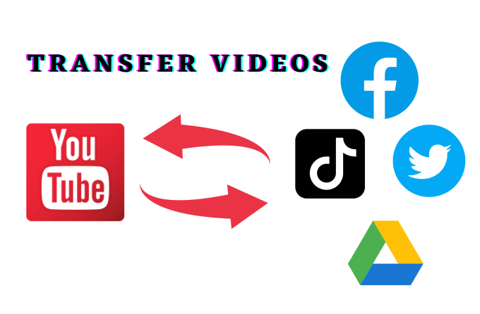 Gig Preview - Transfer the videos from any platform to youtube vice versa