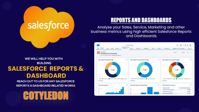 Gig Preview - Create or develop professional salesforce reports dashboards