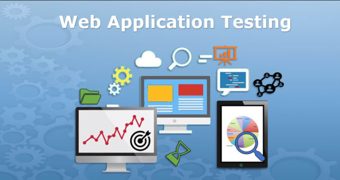 Gig Preview - Do manual web application testing