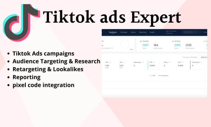 Gig Preview - Create tiktok ads facebook ads tiktok video