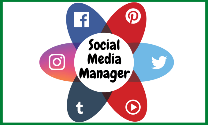 Gig Preview - Be your social media manager and excellent content creator