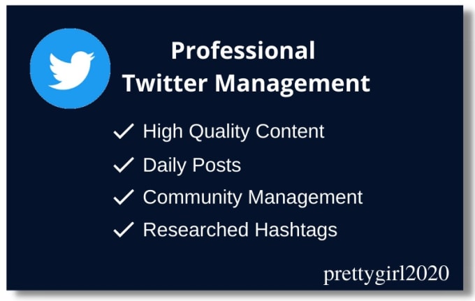 Gig Preview - Be your social media manager for twitter