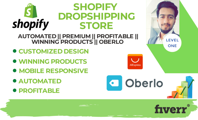 Gig Preview - Build high converting dropshipping shopify store website