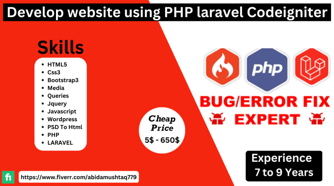 Gig Preview - Create PHP, laravel codeigniter, web application