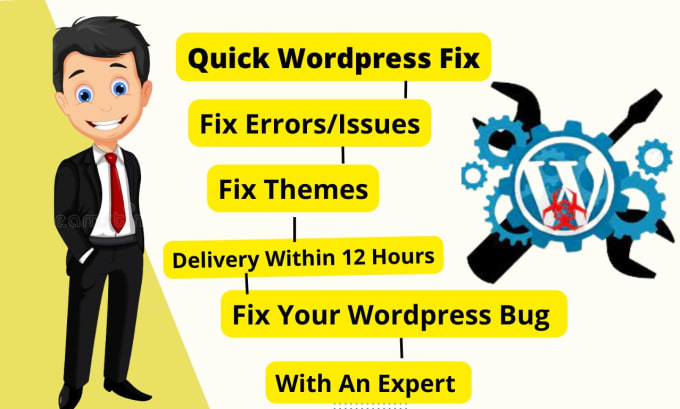 Gig Preview - Fix quickly wordpress errors or issues,bugs and add security