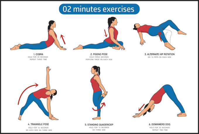 Gig Preview - Draw exercise, workout, yoga, medical, pose or etc manual guide illustrations