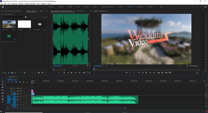 Gig Preview - Do make your wedding or dating video