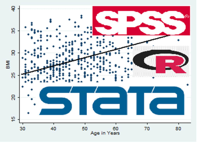 Gig Preview - Do regression analysis using spss, stata and r studio