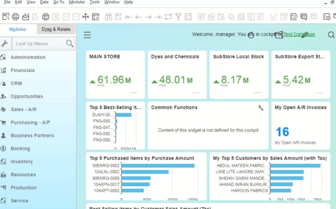 Gig Preview - Provide sap b1 consultation and support