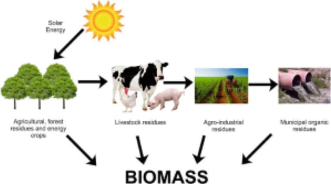 Gig Preview - Assist in biomass energy and biofuels