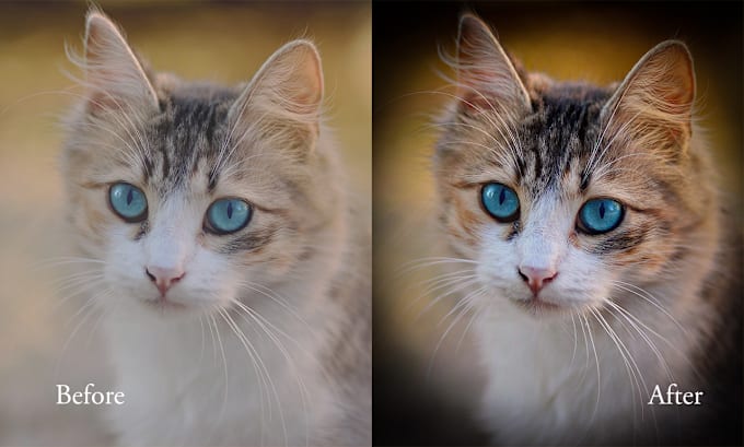 Gig Preview - Do your pet photo retouching and image editing