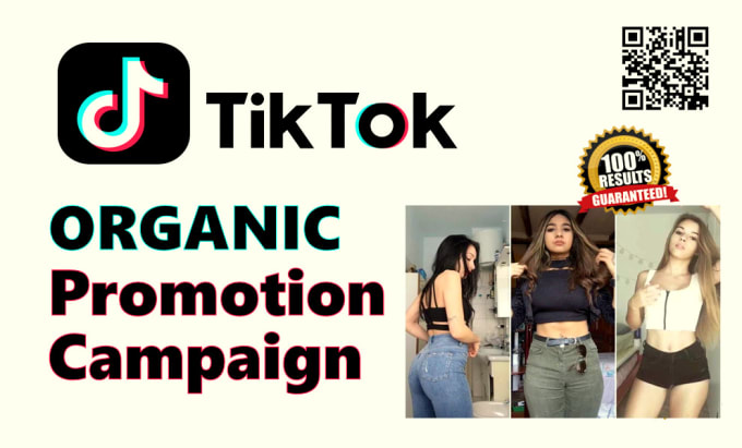 Gig Preview - Do tiktok shoutout promotion with a social media ad campaign