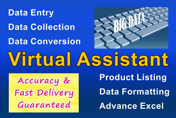 Gig Preview - Do data processing, data entry, data conversion, product listing etc