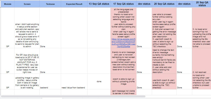 Gig Preview - Perform manual testing of your website and mobile app