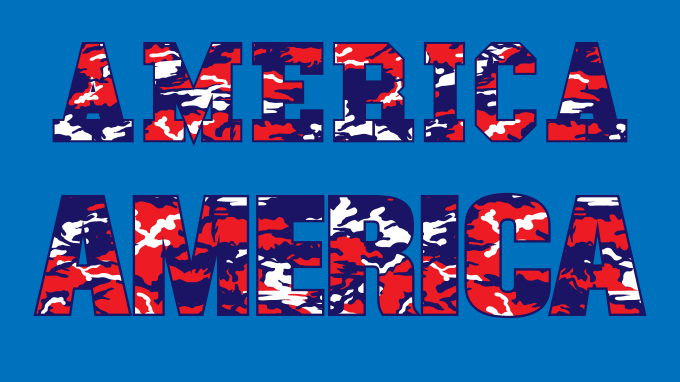 Gig Preview - Do vector camouflage typography, logo for you