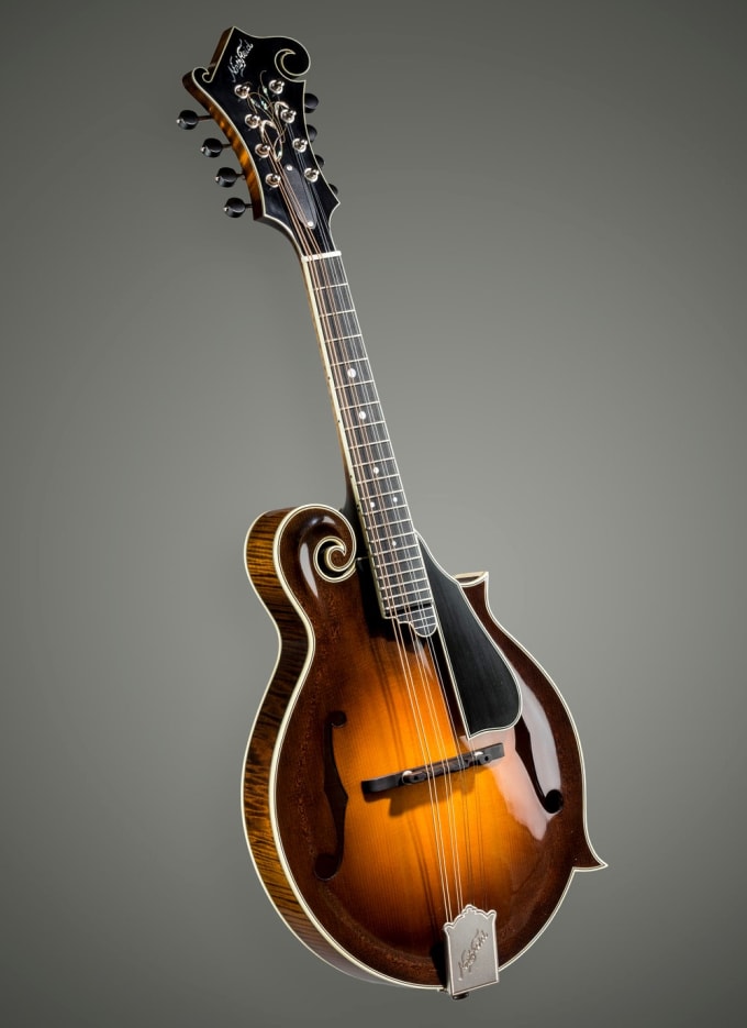 Gig Preview - Play a professional mandolin track for your song