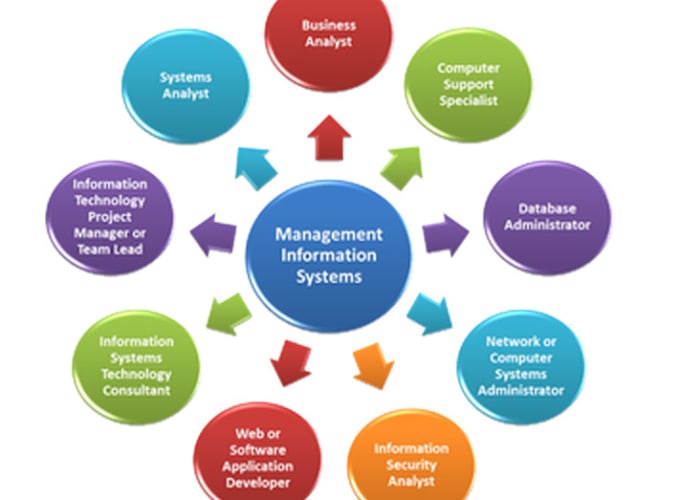 Gig Preview - Research and write unique management information systems tasks