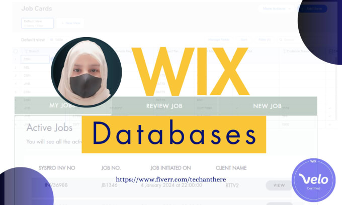 Gig Preview - Build advanced functionality with wix velo databases for your wix site