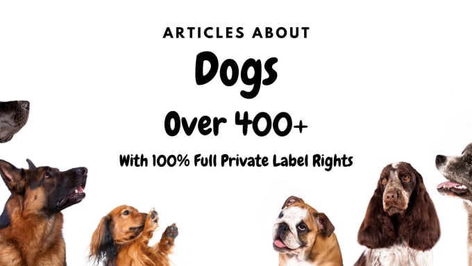 Gig Preview - Give you 400 articles on dogs for your blog