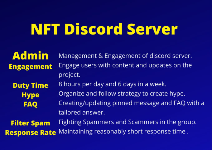 Gig Preview - Manage and moderate discord nft server