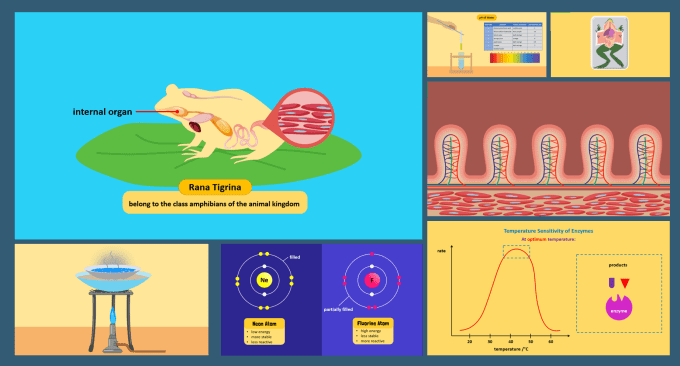 Gig Preview - Convert your powerpoint presentation into a video with synchronized voice over