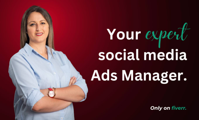 Gig Preview - Be your expert social media ads manager