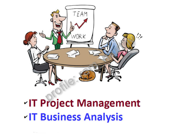 Gig Preview - Help you with IT project management, business analysis