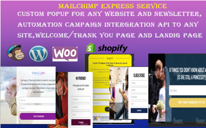 Gig Preview - Set up mailchimp wordpress integration, email automation, newsletter, popup