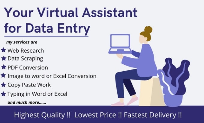 Gig Preview - Do expert fast excel data entry, mining and web scraping