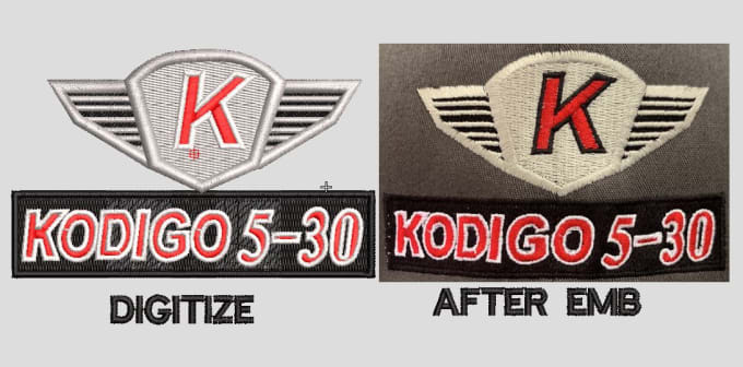 Gig Preview - Do quality embroidery digitize 1 hour