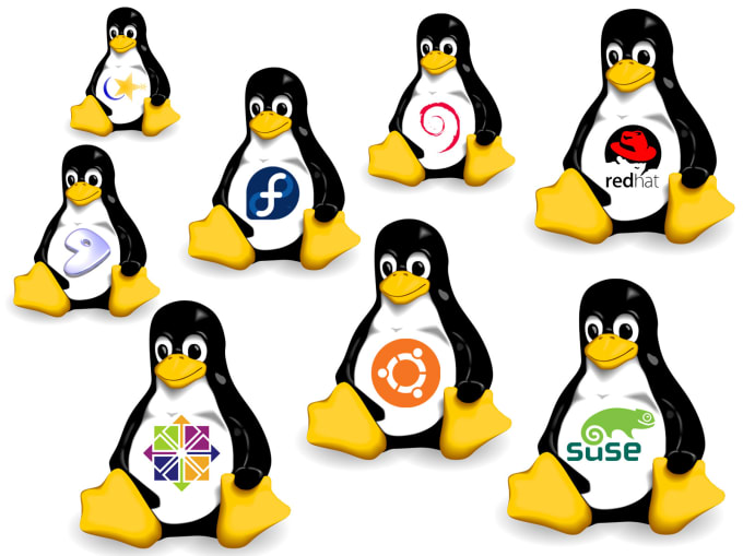 Gig Preview - Help and provide technical support in linux