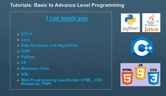 Gig Preview - Teach python, cpp, java,c sharp, web programming tutor