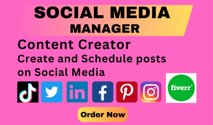 Gig Preview - Be your social media manager and content creator