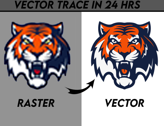 Gig Preview - Vectorize your raster or logo