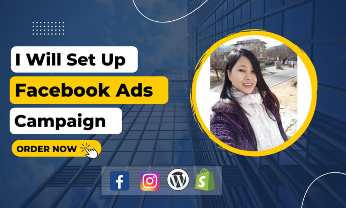 Gig Preview - Set up and manage your facebook ads campaigns