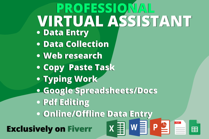 Gig Preview - Be your virtual assistant for data entry and more