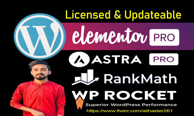 Gig Preview - Install elementor pro, astra pro, wp rocket, rank math seo